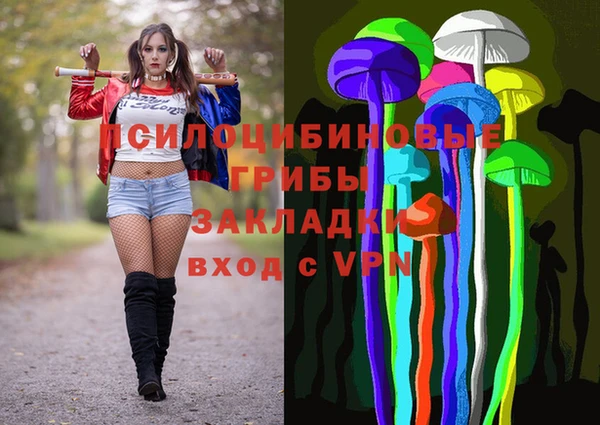 дмт Киреевск