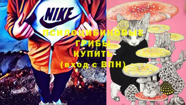 дмт Покачи
