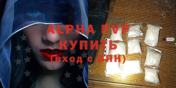 сатива Козловка