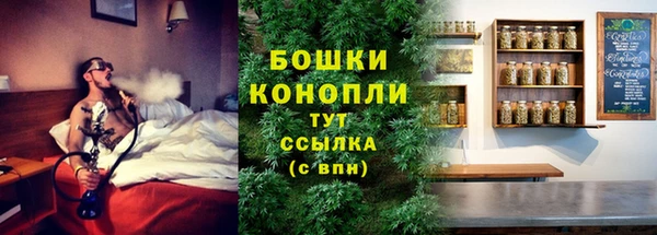 дмт Киреевск