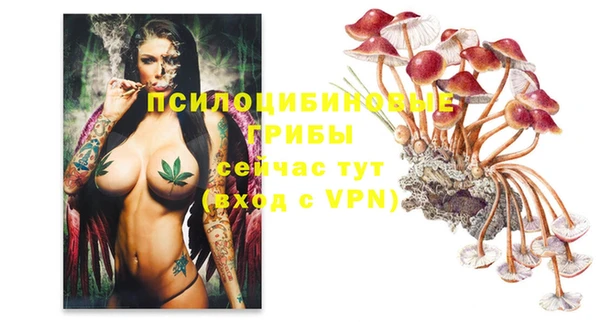 MESCALINE Кодинск