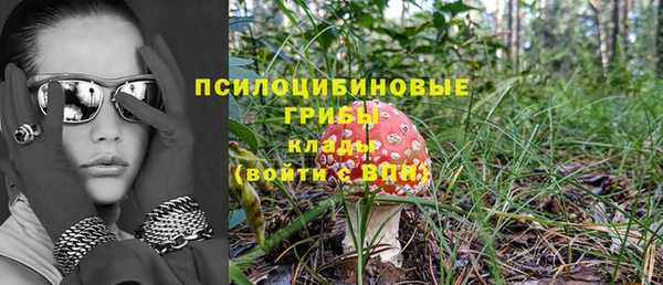 дмт Киреевск