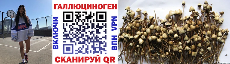 Галлюциногенные грибы MAGIC MUSHROOMS Котельнич